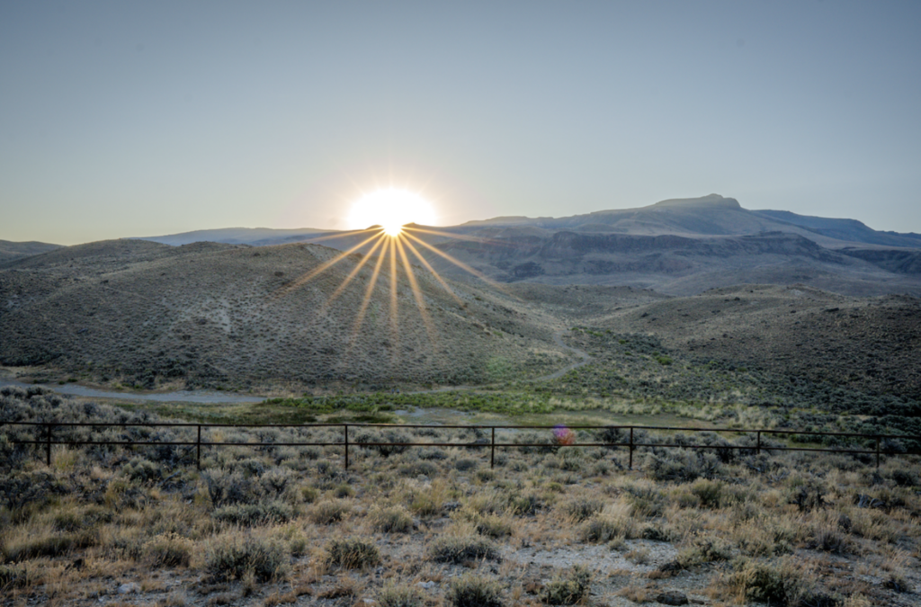 Sagebrush sunrise
